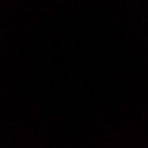 Meet your Posher, Monique